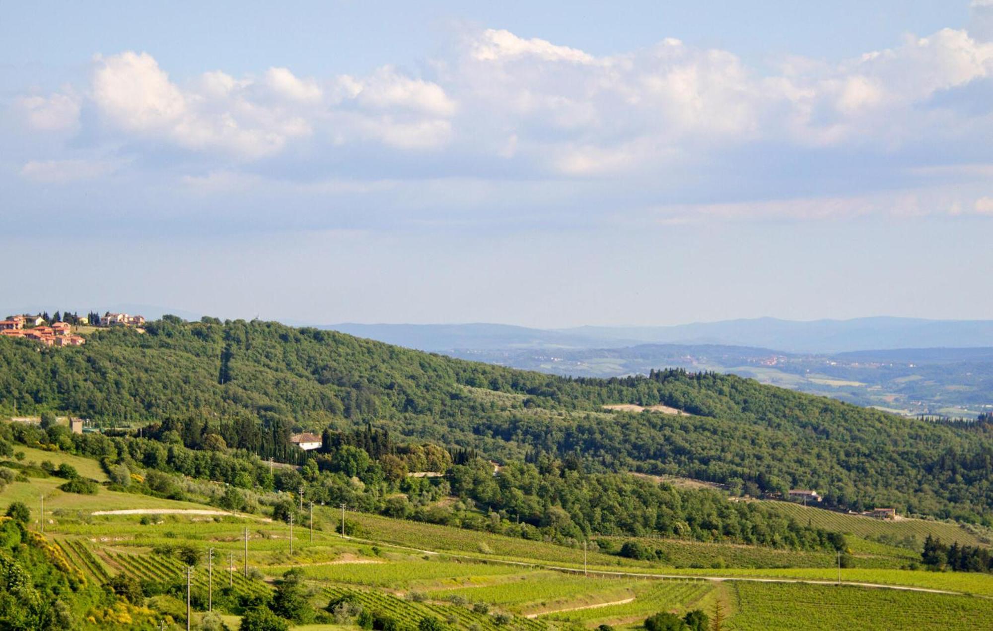 Galletto Nero Panzano in Chianti Ngoại thất bức ảnh